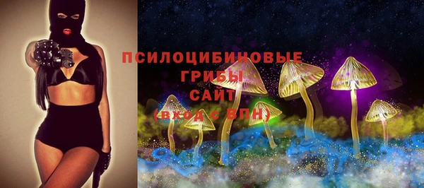 мяу мяу мука Пестово