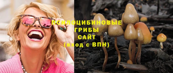 мяу мяу мука Пестово
